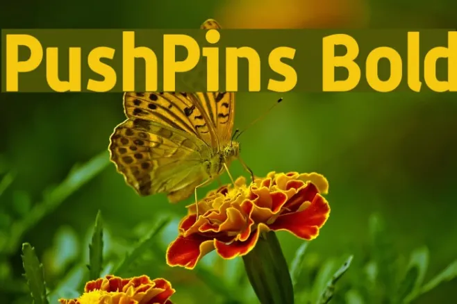 PushPins Bold Example 3
