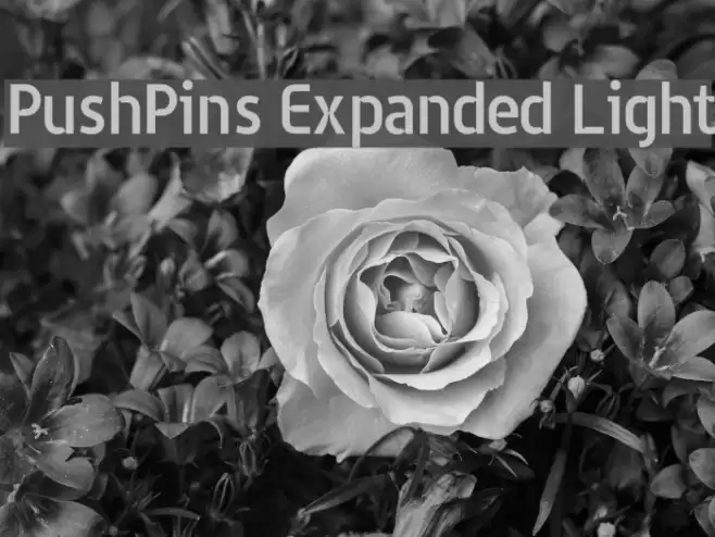 PushPins Expanded Light Font examples