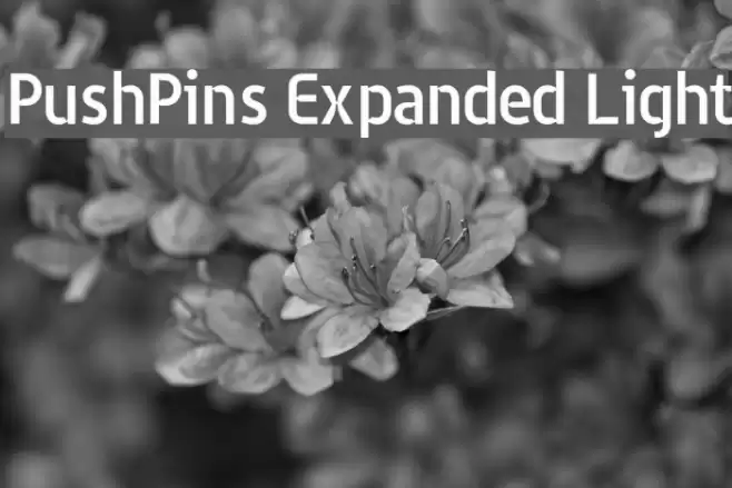 PushPins Expanded Light Font examples