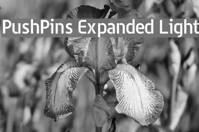 PushPins Expanded Light Font examples