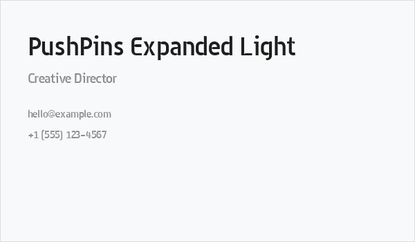 PushPins Expanded Light Business Card