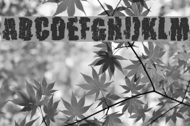 Pusher Font examples