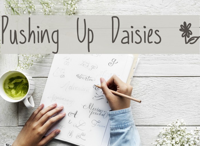 Pushing Up Daisies * Font examples