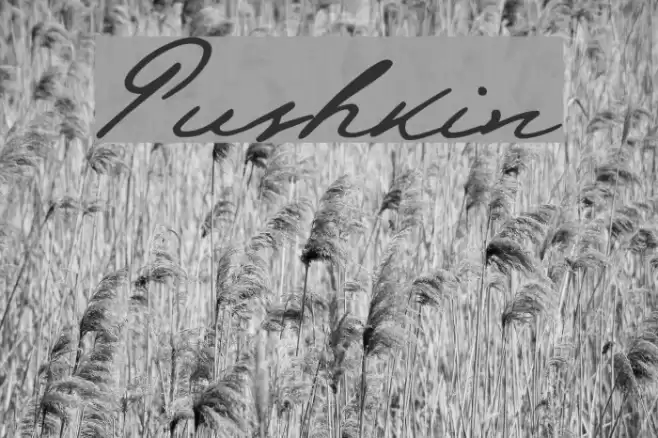 Pushkin Font examples