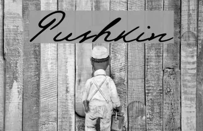 Pushkin Font examples