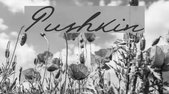 Pushkin Font examples