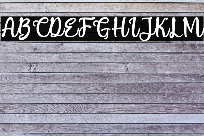Puspa Anisya Script Font examples