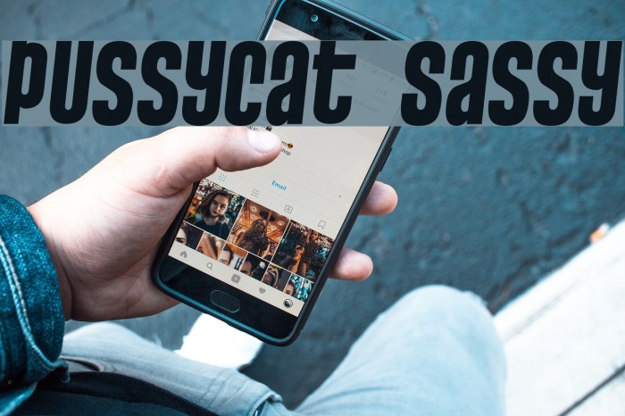 Pussycat Sassy Font examples