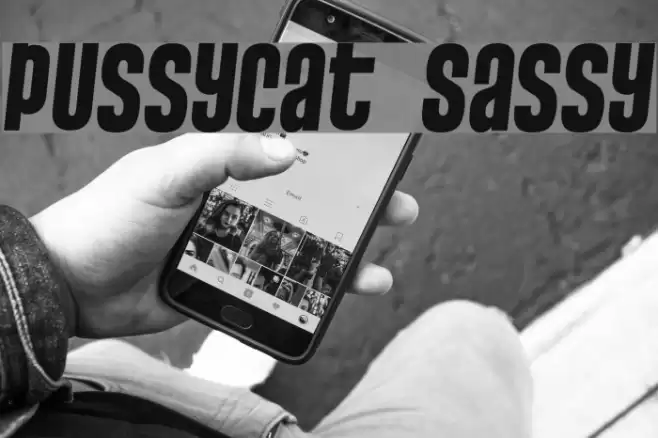 Pussycat Sassy Font examples