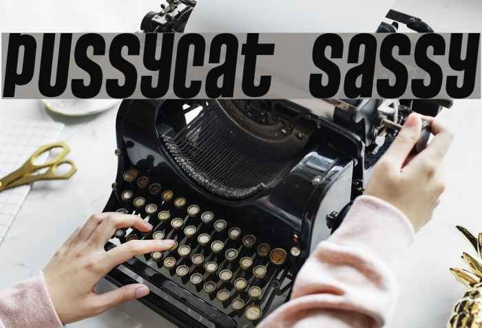 Pussycat Sassy Font examples