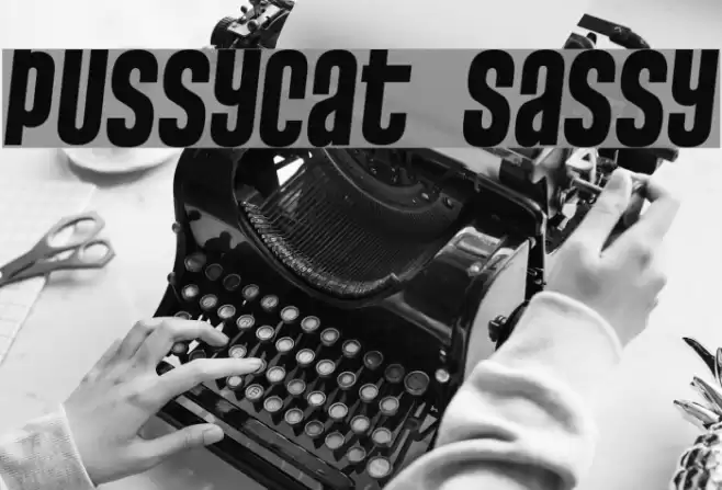 Pussycat Sassy Font examples