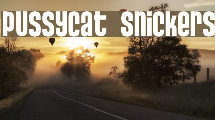 Pussycat Snickers Font examples