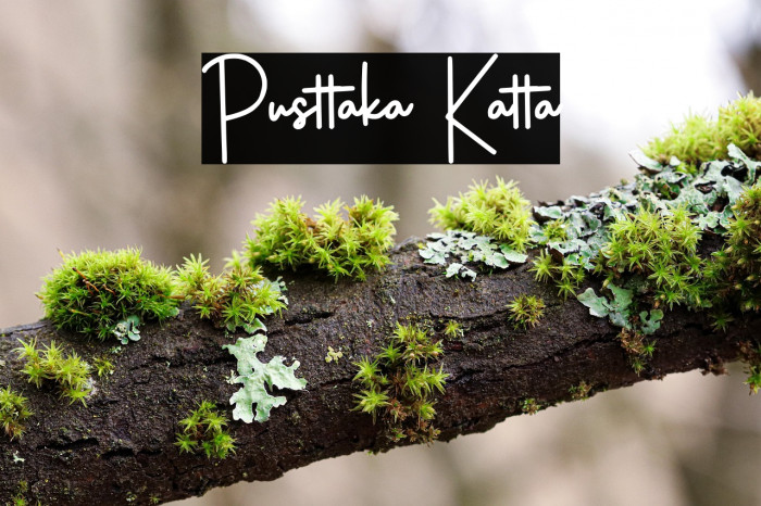 Pusttaka Katta Example 2