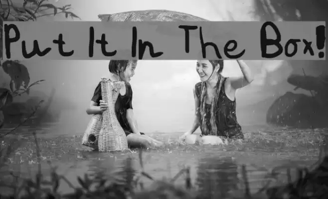 Put It In The Box! Font examples