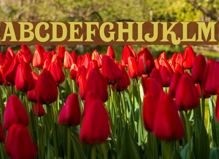 Putain Font examples