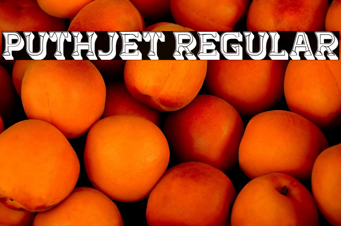 Puthjet Regular Example 2