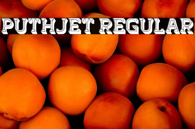 Puthjet Regular Example 2