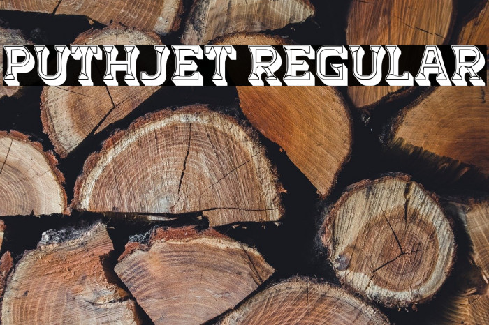 Puthjet Regular Example 3