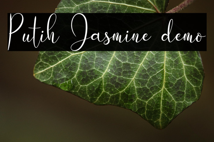 Putih Jasmine demo Example 2