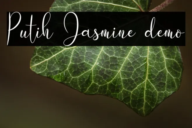 Putih Jasmine demo Example 2