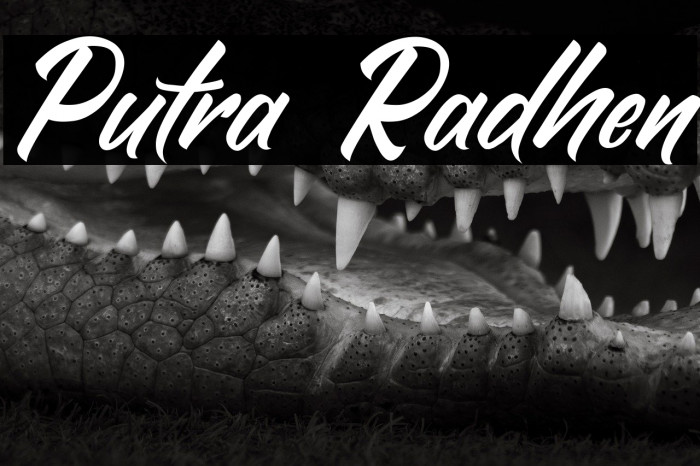 Putra Radhen Example 1