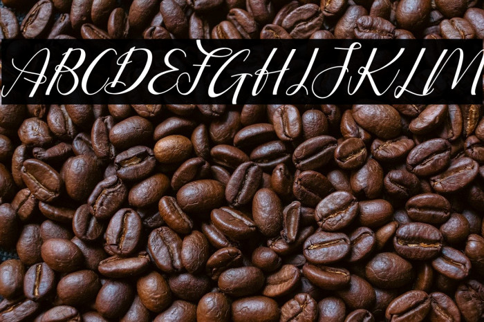 Putri Duyung Italic Example 2