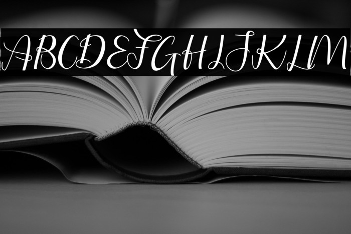 Putri Duyung Example 1