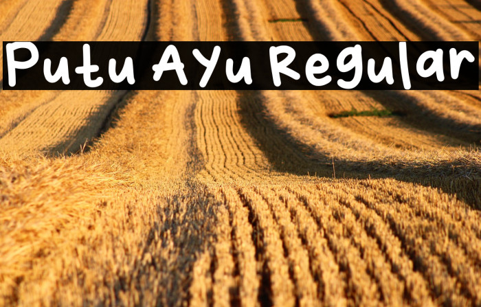 Putu Ayu Regular Example 3
