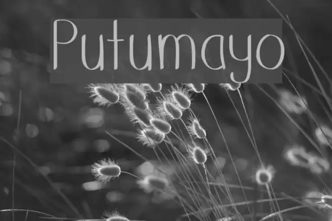 Putumayo Font examples