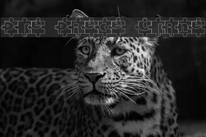 Puzzle Pieces Outline Font examples