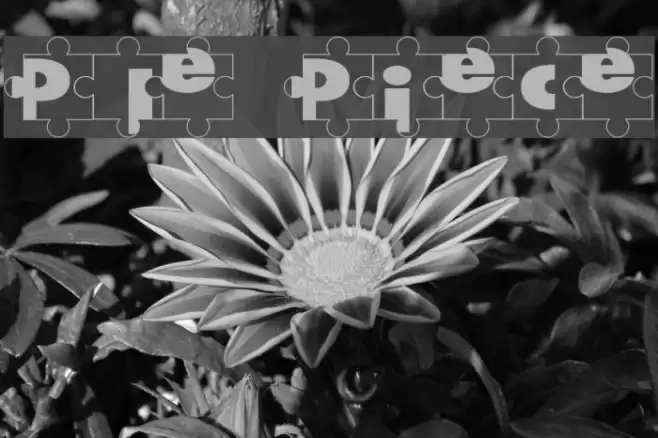 Puzzle Pieces Шрифта examples