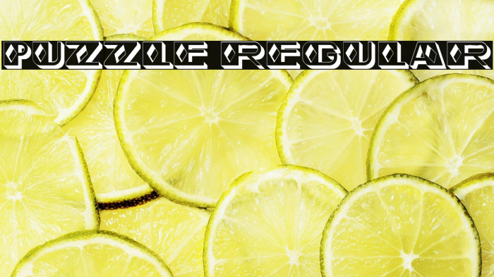 Puzzle Regular Example 2