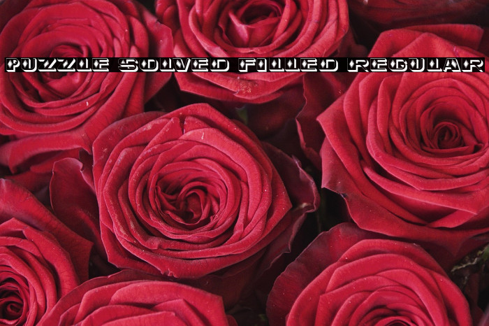 Puzzle Solved Filled Regular Example 2