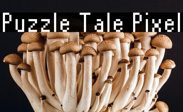 Puzzle Tale Pixel Example 1