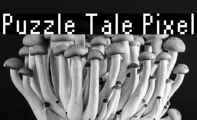 Puzzle Tale Pixel Font examples