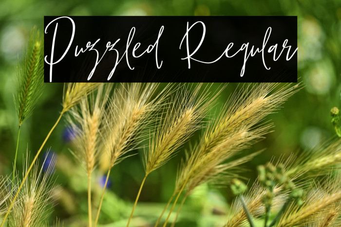 Puzzled Regular Example 1