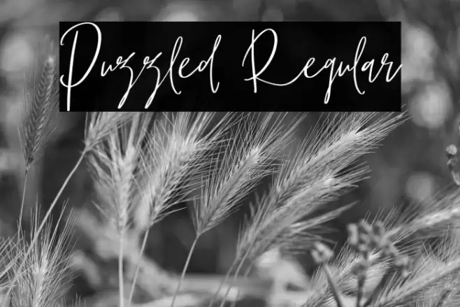 Puzzled Regular Font examples