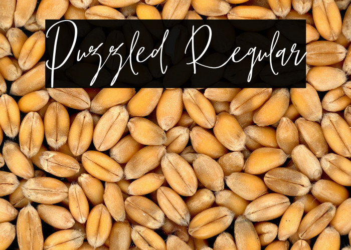 Puzzled Regular Example 2