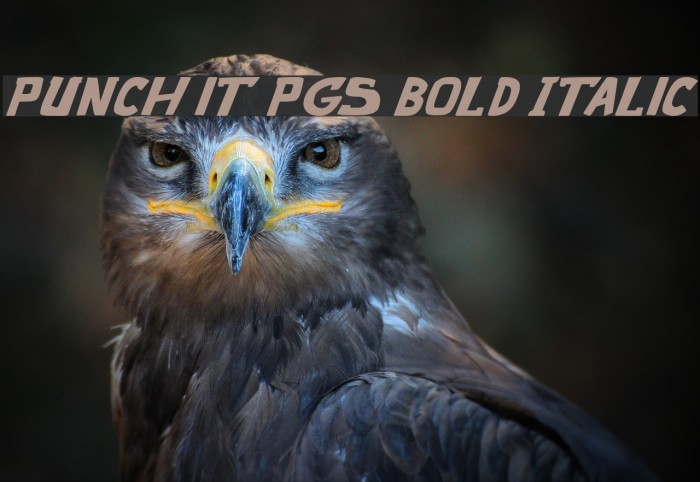 punch it PGS Bold Italic Font examples