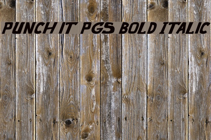 punch it PGS Bold Italic Font examples