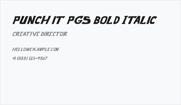 punch it PGS Bold Italic Business Card
