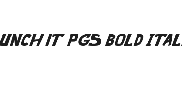 punch it PGS Bold Italic Logo