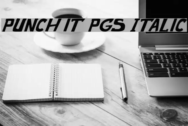 punch it PGS Italic Font examples