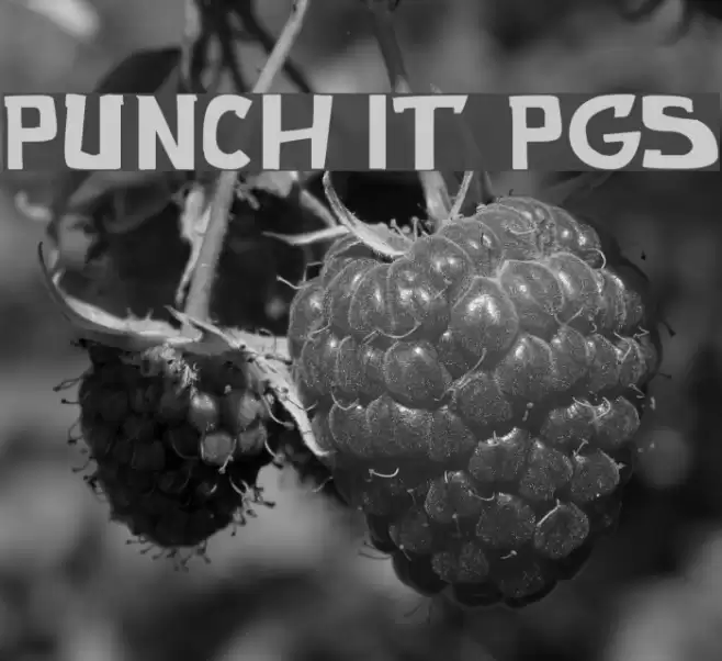 punch it PGS Font examples