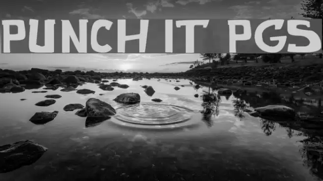 punch it PGS Font examples