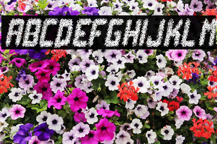 punk not dead tfb Example 1