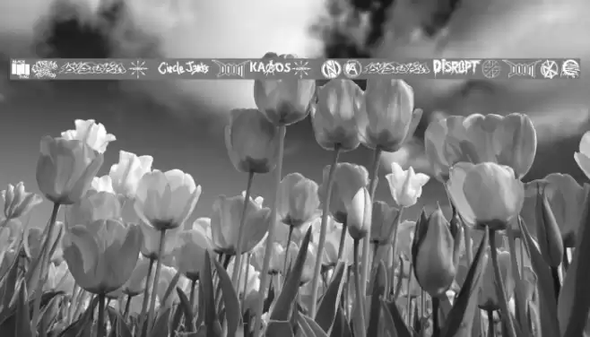 punk rawk dingbatz Font examples