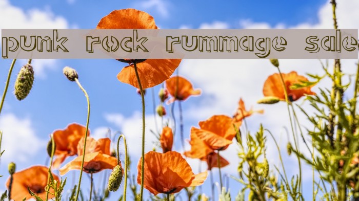 punk rock rummage sale Font examples