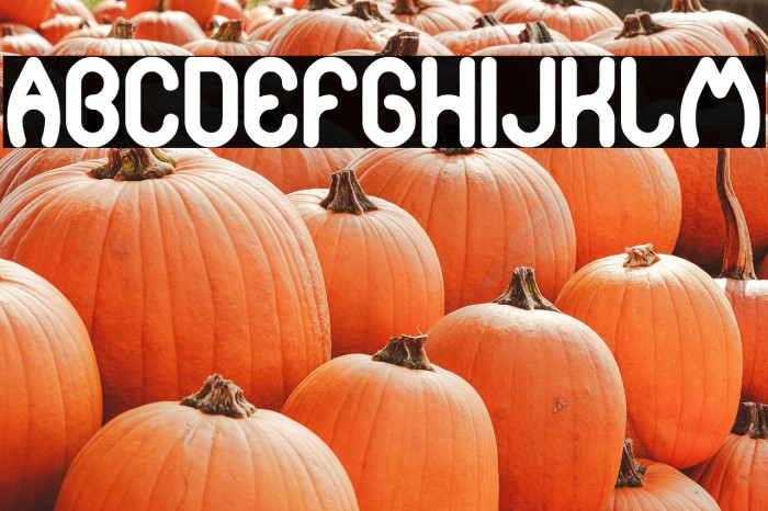 pure and simple everytime Bold Example 2