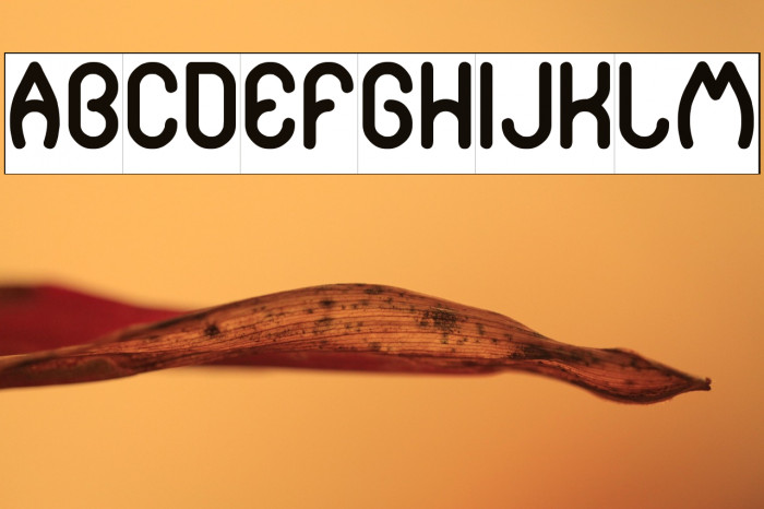 pure and simple everytime-Inver Example 2